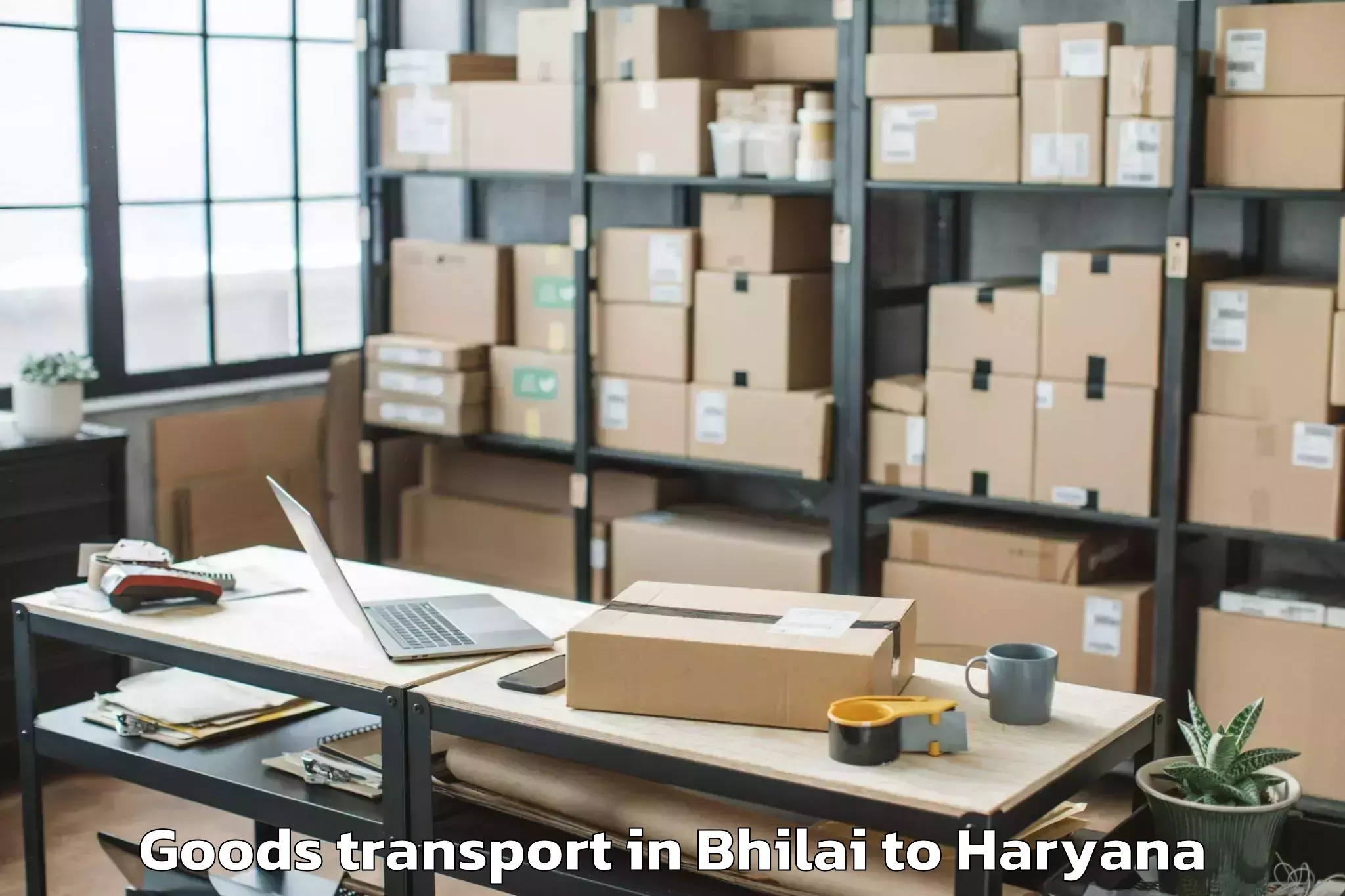 Trusted Bhilai to Khanpur Kalan Goods Transport